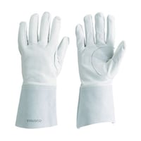 �A�Y�����@�A���S���n�ڗp�T�{�w��܁@�s�x�`�s�T