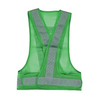 �A�Y�����@���b�V�����S�x�X�g�@�O���[�����V���o�[�@�s�l�u�f�m�r