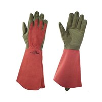 ���a�R�[�|���[�V�����@�v�d�r�s�@�b�n�t�m�s�x�@�q�������@���r�[�@�k�@�S�R�P�k