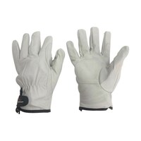 �~�^�j�R�[�|���[�V�����@�ؖ{�v��܁i�����}�W�b�N�^�C�v�j�@���e�b�O�O�P�t�B�b�g���R���t�H�[�g�@���ȕt�@���ĕt�@�k�T�C�Y�@�Q�O�X�Q�V�Q