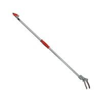 �R���p���@�@���}���@�����Y�@�m�R�M���n�t�@�P�D�Q��