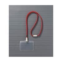 ���C�I��������@�肳�����D�@�m�V�R�d�q�P�O�o�@�i�q�j