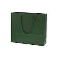 シモジマ 手提げ紙袋 カラーチャームバッグ 3才 グリーン 10枚