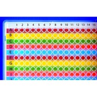 Diversified Biotech 384ウェル カラーオリエンター 横型 1個(2枚入)