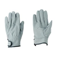 �쐼�H�Ɓ@�l�H��v�O���[�u