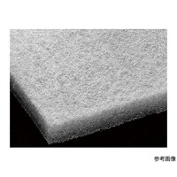 �^�X�R�@�t�B���h���G�A�t�B���^�i�v���t�B���^�j�P�p�b�N�i�T�����j�@�s�`�X�W�P�e�`�R