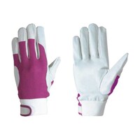 �V�����@�؊v�b���b�V�������}�W�b�N�t�@�P�Q�X�ؔ��l��