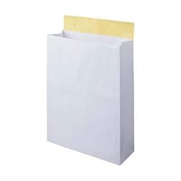 ロッジ ロジック 梱包宅配袋 大サイズ 250枚入