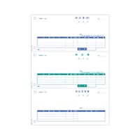 �q�T�S�@�[�i���@�P�Z�b�g�i�T�O�O�����j