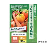 �t�W�e�b�N�X�@���~�l�[�g�t�B�����Q�T�O�ʁ@�a�T�T�C�Y�@�T�O����