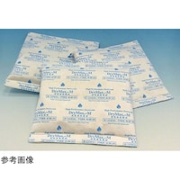 �T�����[����@�h���C�}�b�N�X�i�������������j�����܁@�Q�O�O���^�C�v�@�P���i�X�O�j