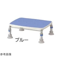 �A���������@�X�e�����X��������q�@�P�T�Q�O�@�u���[�@�T�R�U�S�S�T