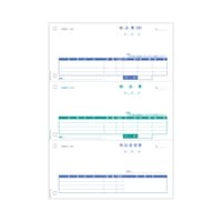 �q�T�S�@�[�i���R�ʁi���ʁj�P�Z�b�g�i�P�O�O�����j