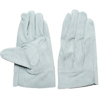 �G�[�X�@�����v��܁@�a���@�w�D���@�P�Q�o��