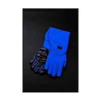 �A�C�V�X�@�N���C�I�O���[�u�i�q�j�O���b�v���S�h���u���[�G���{�[�^�C�v�@�w�k�@�S���S�W����