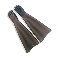 �O�i�S���@�����T�{�w��܁@�U�T����