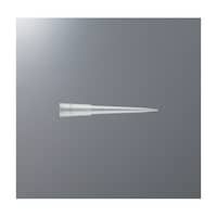 �a�h�n�a�h�j�@�}�C�N���`�b�v�@�Q�O�O�ʂ��@�T�R�����@�o