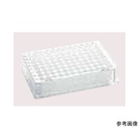 �G�b�y���h���t�@�c���������������@�o���������@�X�U�^�T�O�O�ʂk�C�@�o�������������k���a�������C�@�o�b�q�@�����������C�@�S�O���i�T�܁~�W���j�@��