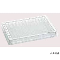 �G�b�y���h���t�@�l�������������������@�X�U�^�e�C�@���F�E�F���C�@�o�b�q�@�����������C�@�{�[�_�[�@�O���[�C�@�W�O���i�T�܁~�P�U���j