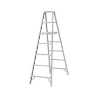 �A���C���R�@�P�D�X�X���@�y�ʋr���i�A���~���j