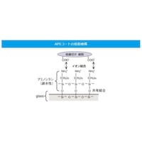 �}�c�i�~�@�X���C�h�O���X�@���ؕ��t���X�g�`�o�r�@�O�D�X�P�D�Q�����@���@�P�O�O����