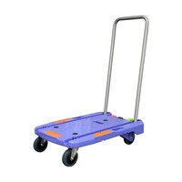 ナンシン コンパクトキャリー