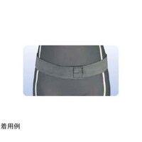 �A�V�X�g�@���\�S���x���g�@�u���b�N�O���[�@�l