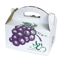 ヤマニパッケージ 青果用贈答箱 ぶどうの里 手提 大 50枚