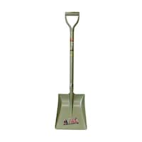 �󍁍H�Ɓ@���ہ@�`�o����[���]�[�V���x���@�p