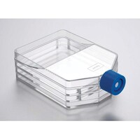 �b�������������@�Z���J���`���[�@�}���`�t���X�R�@�R�w�@�T�Q�T�����Q�@�P���i�Q�~�U�p�b�N���j