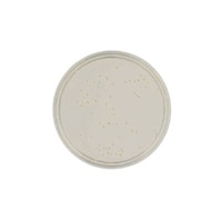 ���{�x�N�g���E�f�B�b�L���\���@�a�c�@�a�a�k�i�s�l�j�@�r�b�c���V�|�n�@�q�s�@�P�i�P�{�~�P�O�O�����j