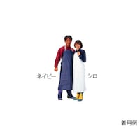 �쐼�H�Ɓ@�R�ۃr�j�����O�|���@�����@�l�C�r�[�@�k