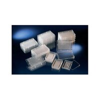 �T�[���t�B�b�V���[�@�X�U�}�C�N���E�F���v���[�g�@�s�b�@�t�^�t�@�o���N�@�i�P�U�O�j�P���i�P�O�~�P�U����j