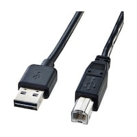 サンワサプライ 両面挿せるUSBケーブル AB標準