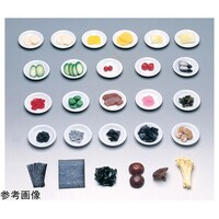 イワイサンプル フードモデル たくあん漬 20g (磁石なし)