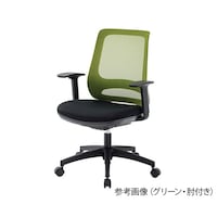 ���m�H�|�@���b�V���`�F�A�@�O���[���@�I�t��