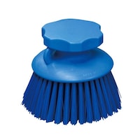 �����@�g�o�n���h�u���V�@�ی^�@�u���[�@�T�T�W�U�T