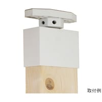 �q�J���@�f�X���X�g�{�̂P�g�i�Q�~�S�p�j�z���C�g