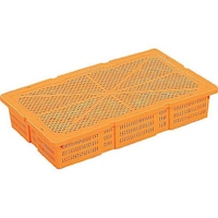 �O�b�@�G�r�U�i�{�́E�t�^�t�j�I�����W