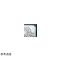 ����@�I���J�k�o�d�w�@�W�S�P�~�P�T�O�l�@�R�C���`�@�X�}�L