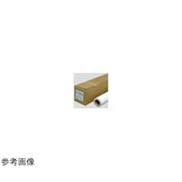 ����@�W�F�g���X�@�i�o�c�R�O�O�r�@�X�P�S�~�S�O�l�@�Q�C���`