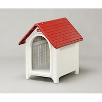 �A�C���X�I�[���}�@�{�u�n�E�X�@���b�h�^�I�t�z���C�g�@�T�S�T�~�V�S�O�~�V�Q�O����