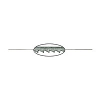 �G���W�j�A�@���n�@�O���X�@���S