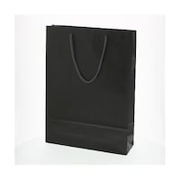 �V���W�}�@��񂰎��܁@�J���[�`���[���o�b�O�@�Q�ˁ@���@�P�O��