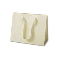 �V���W�}�@��񂰎��܁@�J���[�n���h���o�b�O�@�k�v�@�N���[���@�T����