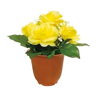 ���j�b�g�@���Ԕ��@�o���i���F�j