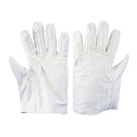 �������Y�@���z�T�{�w��ܓ��t�@�P�܁i�P�O�o���j