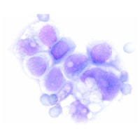 Merck ヘマカラー(R) 溶液3 青色液 Hemacolor(R) 111957 2.5L