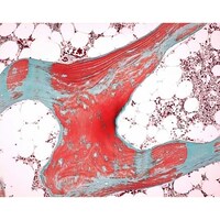 �l���������@�I�X�e�I�\�t�g�i�q�j�@�g�D�w�p�}�C���h�E�D�t�@�P�O�P�V�Q�W�@�P�k