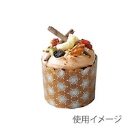 �V������@�}�t�B���J�b�v�@�����@�l�S�O�R�@�P�O�O��